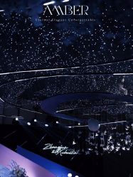 -琥珀婚礼策划AMBER WEDDING
