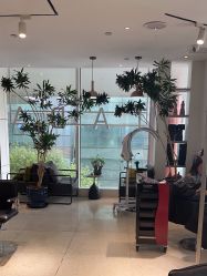-悦SALON