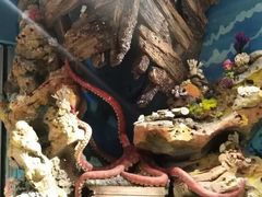 -珠海横琴国家地理探险家中心(创新方)