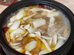 -蘑统田下·野生菌火锅