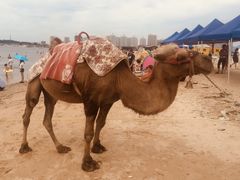 -东戴河风景区-止锚湾