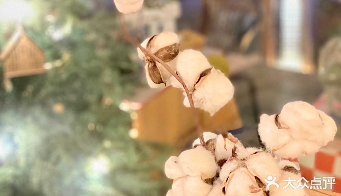 【茶画六月】珠海最值得N刷的咖啡店