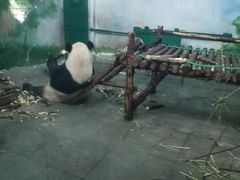 -无锡动物园·太湖欢乐园