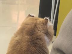 -平行世界·猫咖(首经贸店)