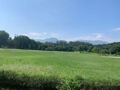 -福建鲤鱼洲酒店