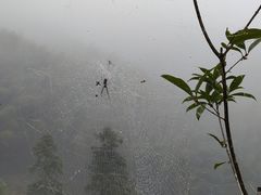-大鄣山卧龙谷景区