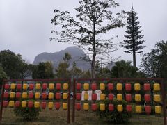 -靖西鹅泉风景区
