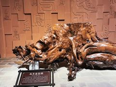 -乐山乌木文化博览苑