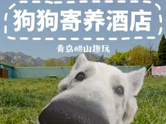 -趣玩宠物乐园寄养训犬训狗游泳池