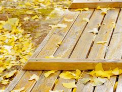 -长白岛森林公园