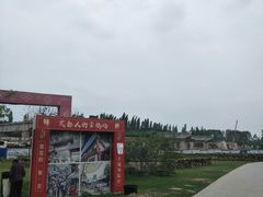 -秀丽东方