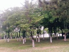 -济南国际园博园