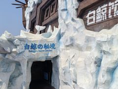 -秦皇岛乐岛海洋王国