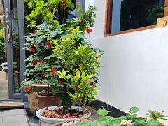 -芦茨金富饭庄·25年老字号·专做稻草鸡