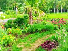 -长春市南湖公园