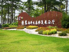 -芒洲湿地公园