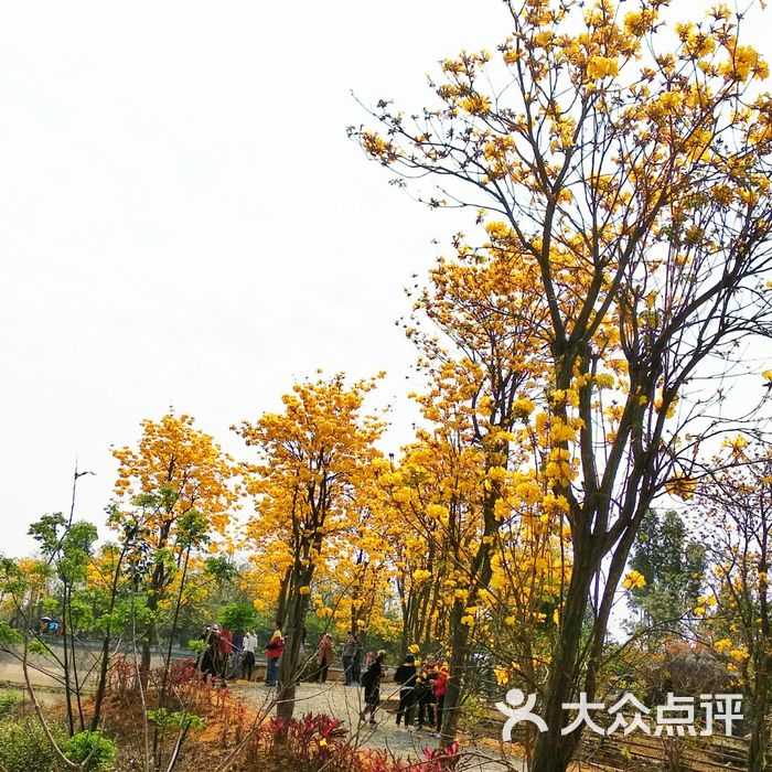 品胜天鹅湖庄园