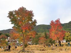 -塔川景区