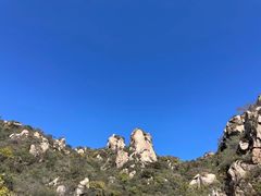 -大岭沟猕猴桃谷风景区