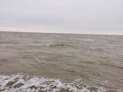 -碧海金沙