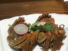 -呼吸森林·生态农庄农家乐私房菜