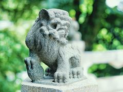 -太平山顶