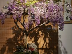 -双季花艺园艺市场(浦东店)