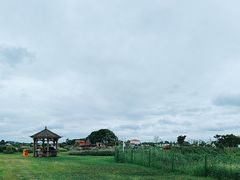 -空港花田景区