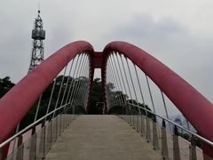 -金鸡山公园