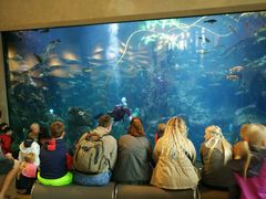 -西雅图水族馆