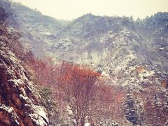 -秦岭终南山世界地质公园翠华山景区