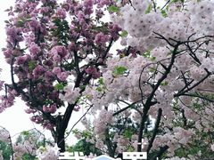 -唐城墙遗址公园