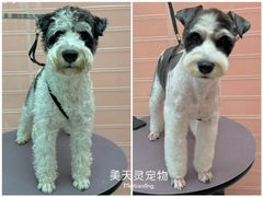 -FAELING PETS美天灵宠物(合生汇店)