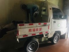 -都江堰中华大熊猫苑