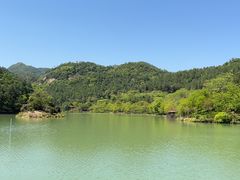 -广州白江湖森林公园