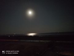 -上海南汇嘴大堤酒店