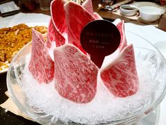 5A雪花牛肉-协成海鲜火锅(海洋花园店)