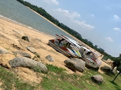 -瑶湖郊野森林公园