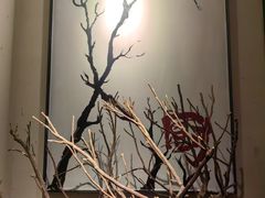 -树厨贵州菜(铜仁花果山店)