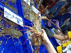-兰坡海鲜市场