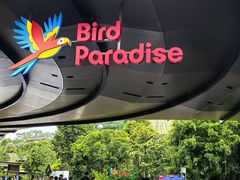 -新加坡飞禽公园