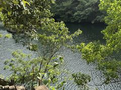 -宁海森林温泉