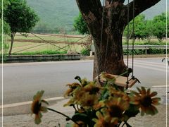 -村上春树
