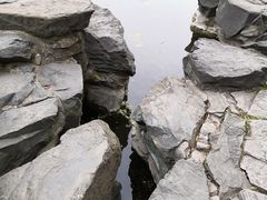 -香山公园-东宫门售票处