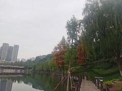 -重庆彩云湖湿地公园