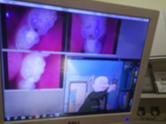 -和平卓尔口腔·矫正种植中心