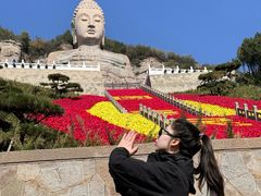 -蒙山大佛景区