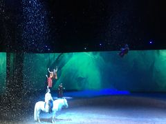 -cavalia·舞马