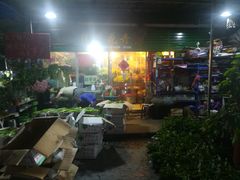 -曲阳花鸟市场(曲阳路店)