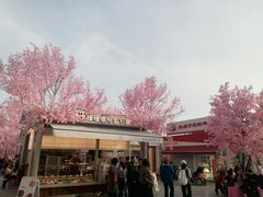 -首开·龙湖成都西宸天街